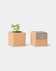 Grow Cube personalisierbar