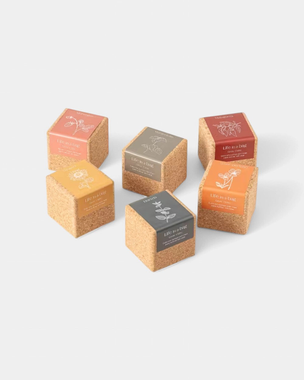 Grow Cube personalisierbar