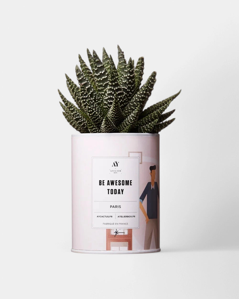 Zu 100% personalisierbarer Kaktus - Ay Cactus