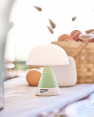 LED Lampe Lexon MIMOSA zum Personalisieren - 35