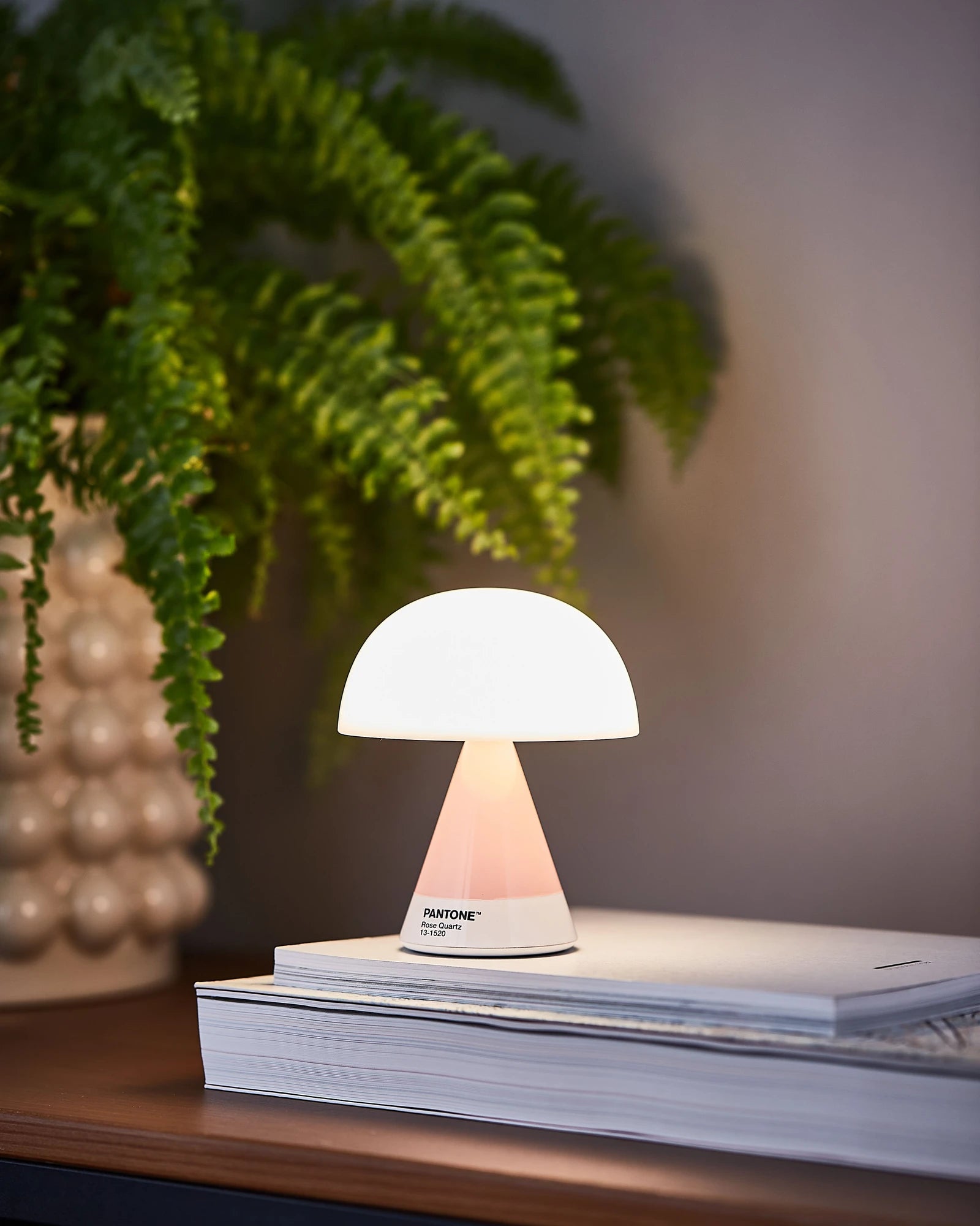 LED Lampe Lexon MIMOSA zum Personalisieren - 49