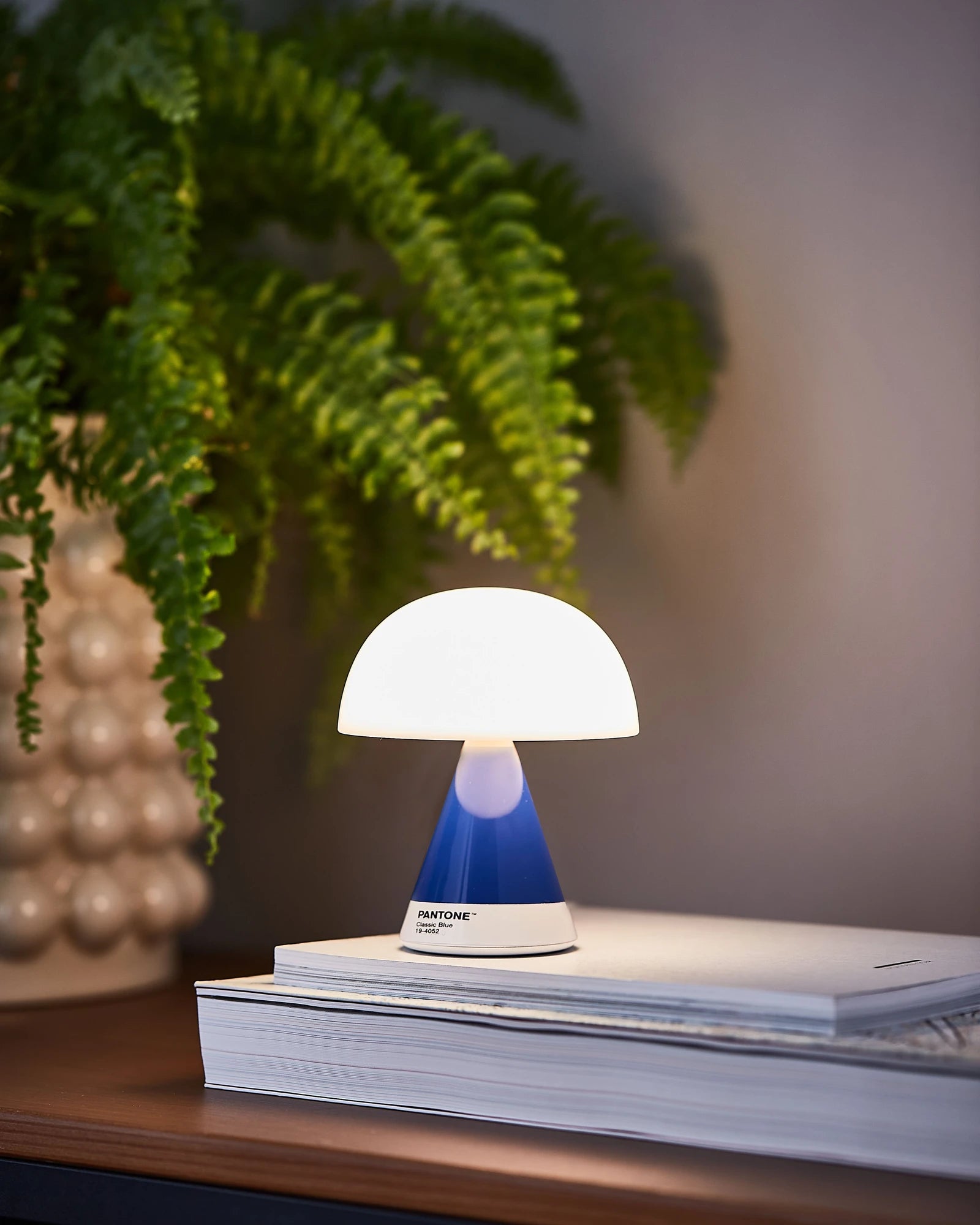 LED Lampe Lexon MIMOSA zum Personalisieren - 15