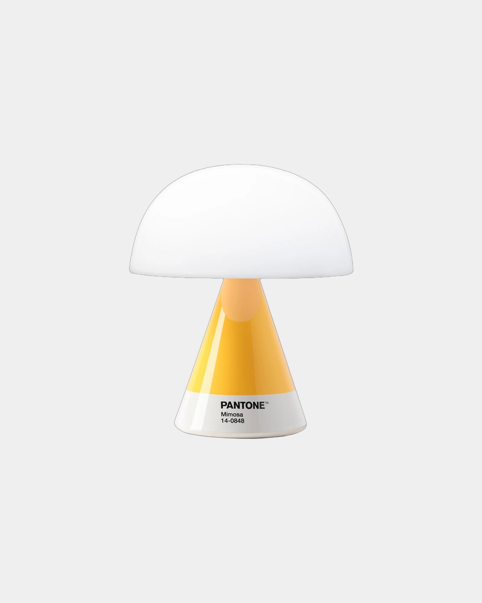 LED Lampe Lexon MIMOSA zum Personalisieren - 1