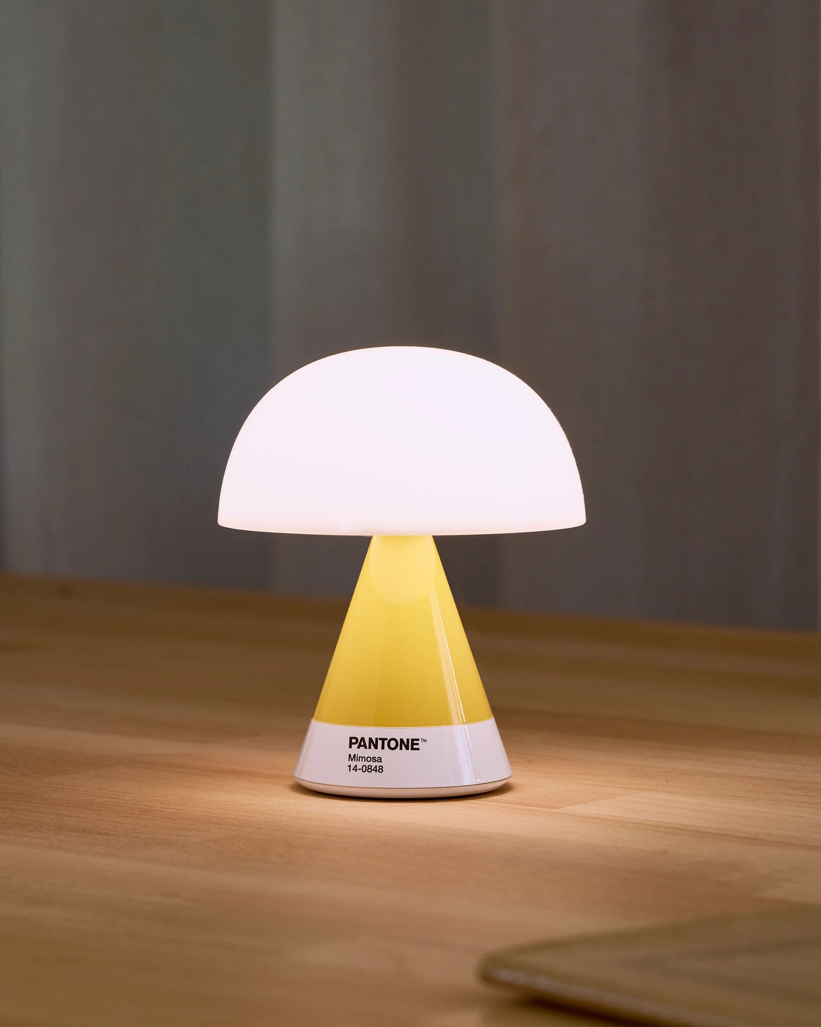 LED Lampe Lexon MIMOSA zum Personalisieren - 6