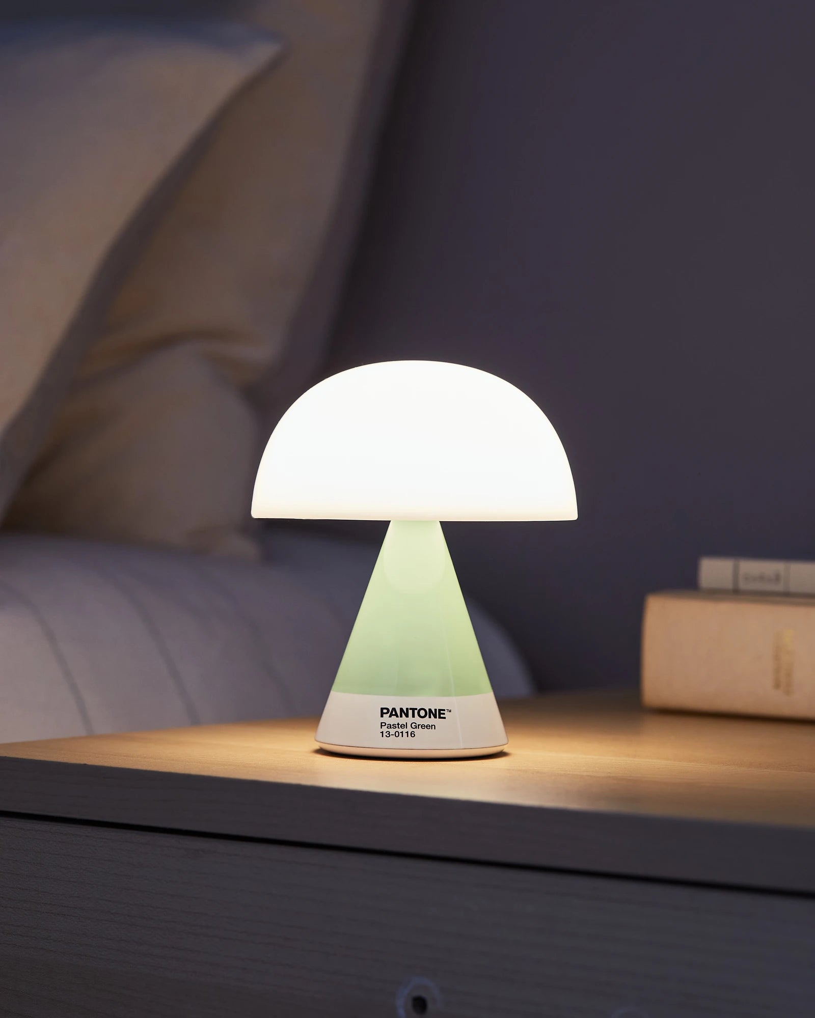 LED Lampe Lexon MIMOSA zum Personalisieren - 32