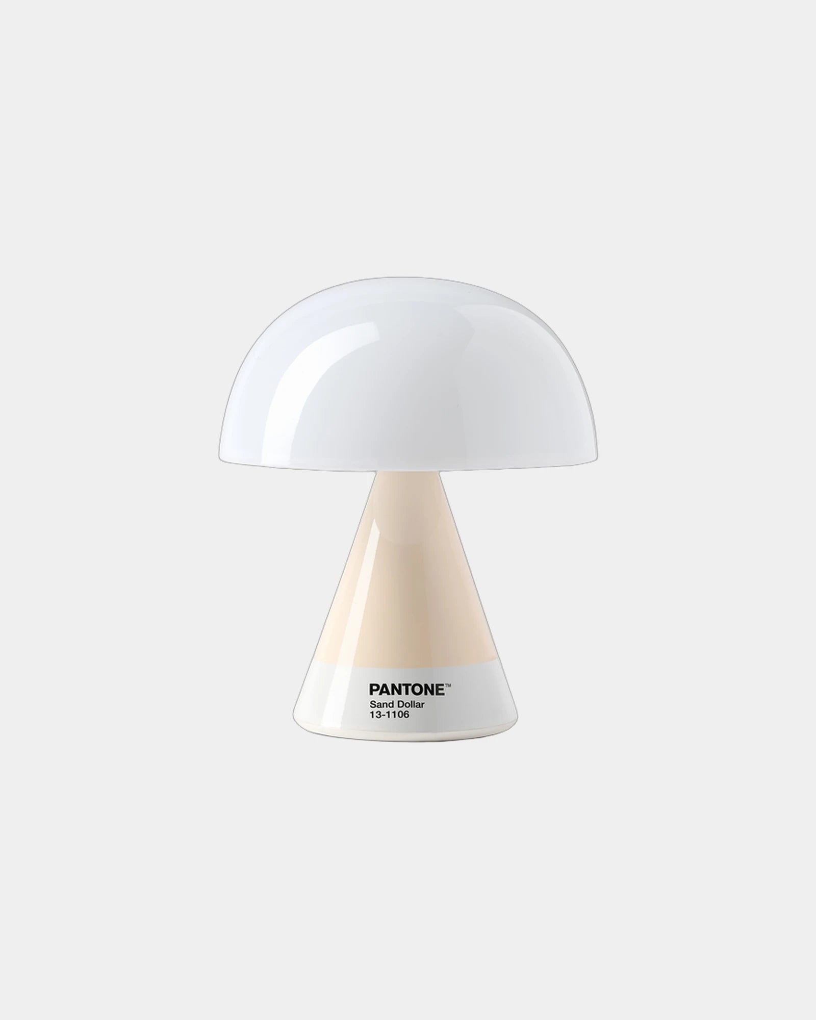 LED Lampe Lexon MIMOSA zum Personalisieren - Sanddollar