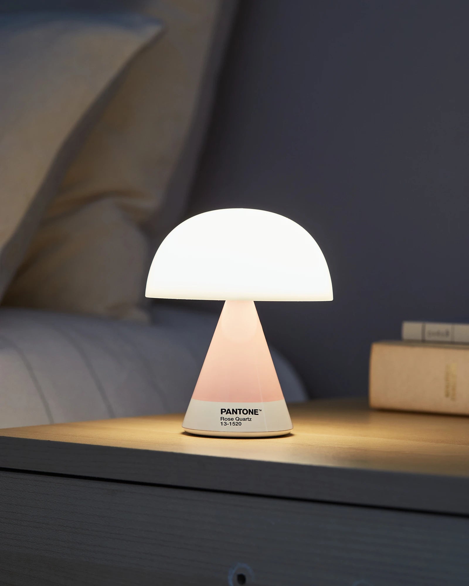 LED Lampe Lexon MIMOSA zum Personalisieren - 51