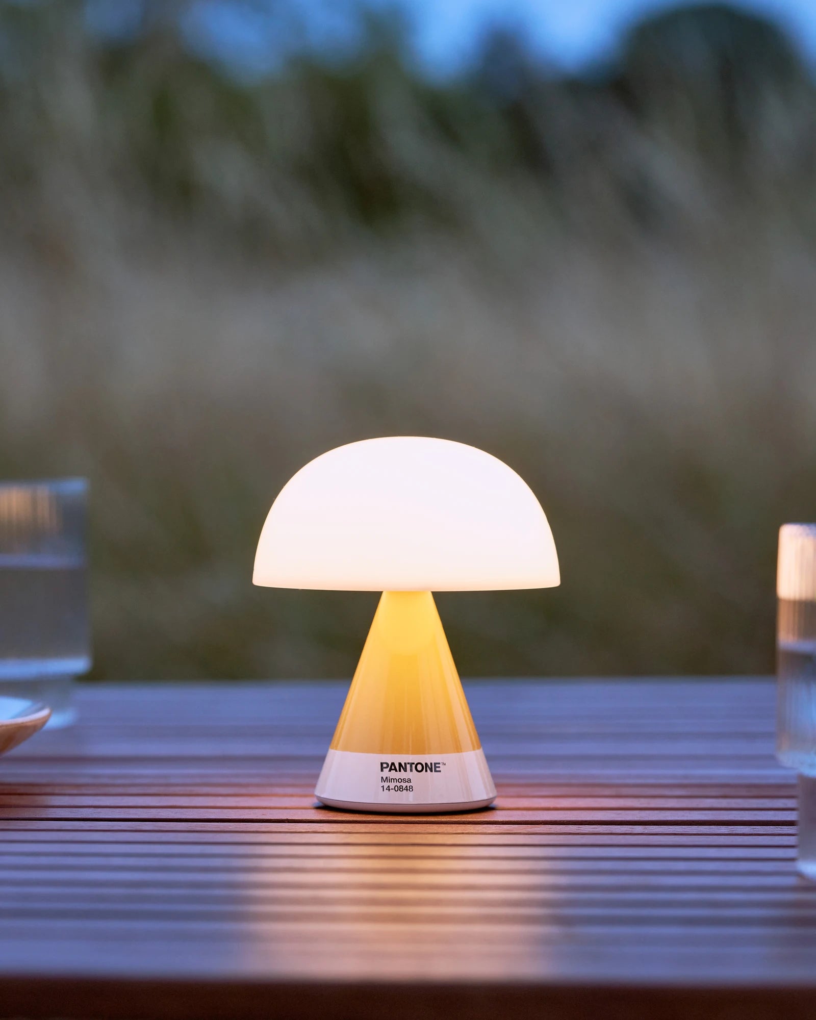 LED Lampe Lexon MIMOSA zum Personalisieren - 8