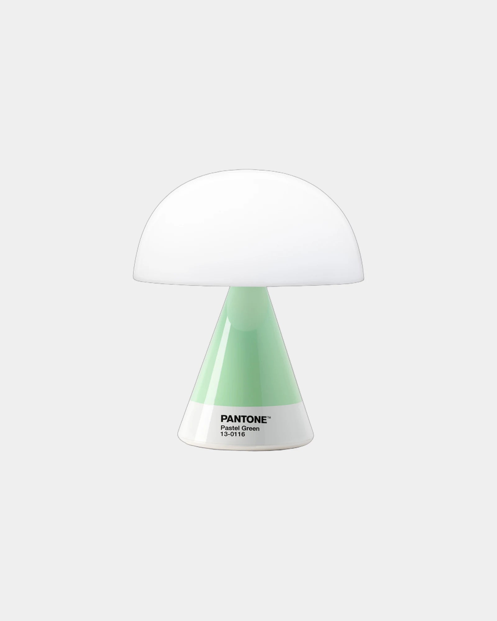 LED Lampe Lexon MIMOSA zum Personalisieren - 27