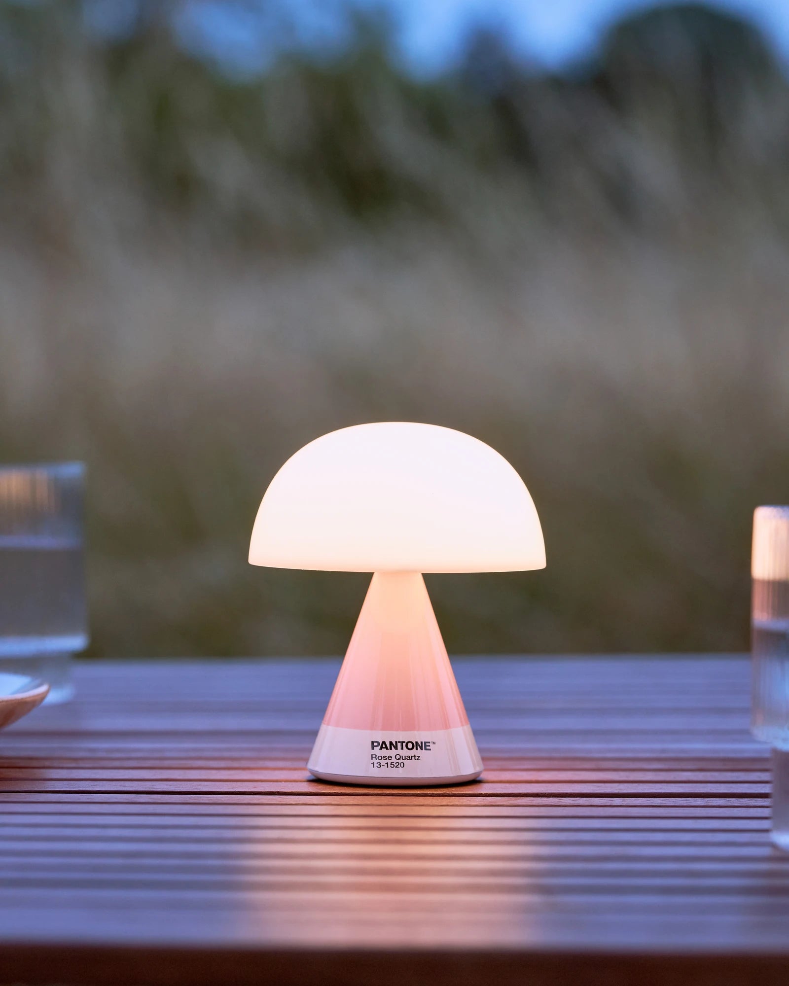 LED Lampe Lexon MIMOSA zum Personalisieren - 52