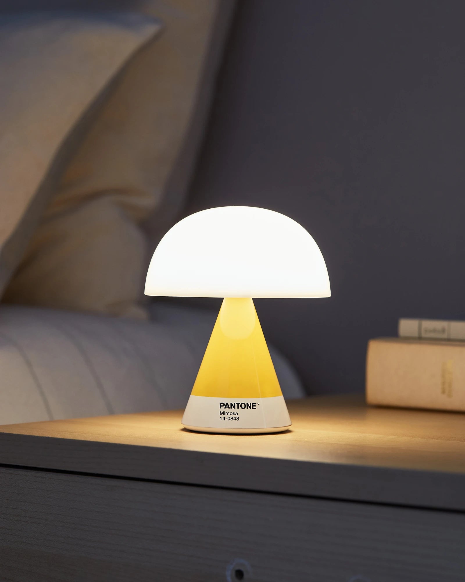 LED Lampe Lexon MIMOSA zum Personalisieren - 7