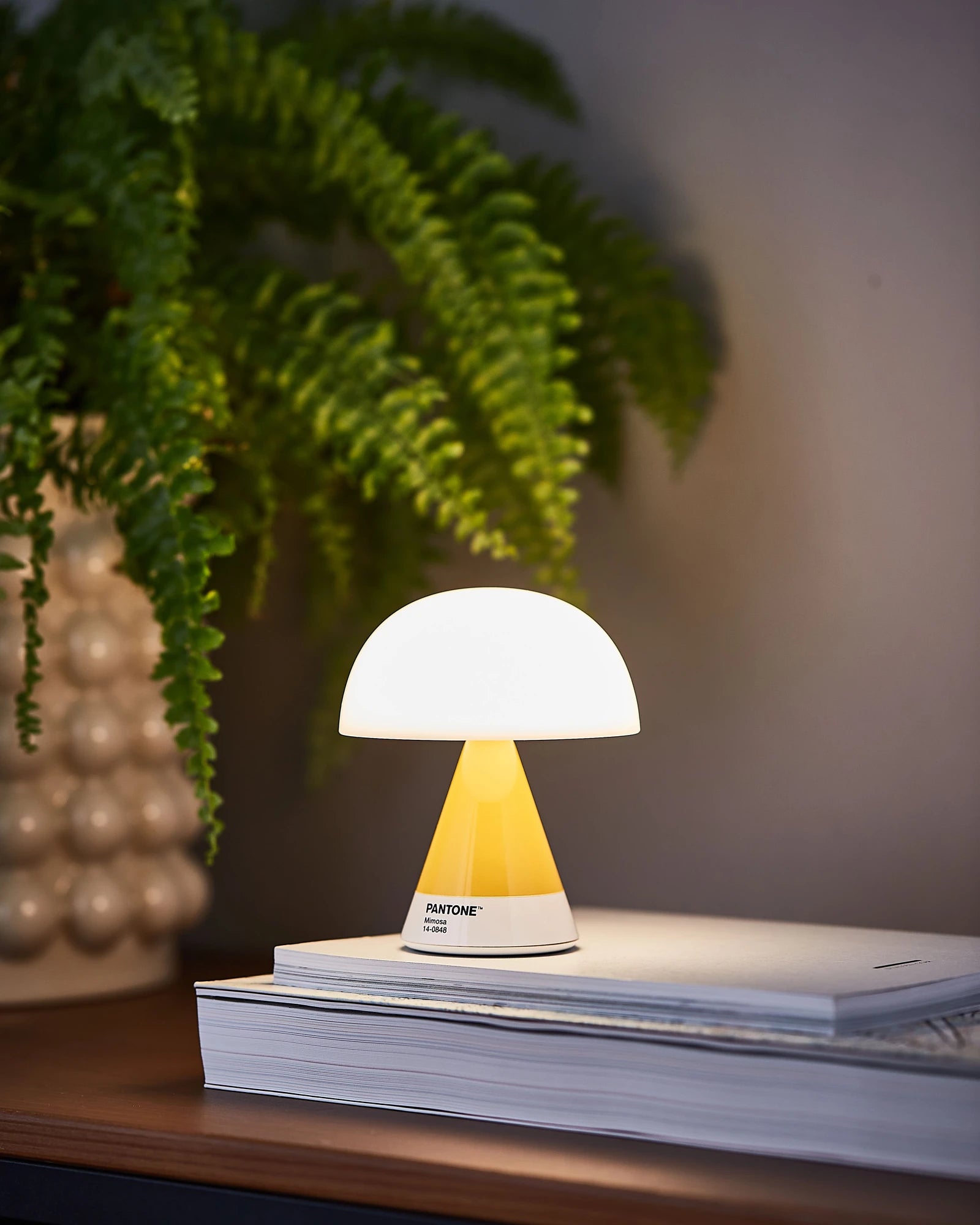 LED Lampe Lexon MIMOSA zum Personalisieren - 5