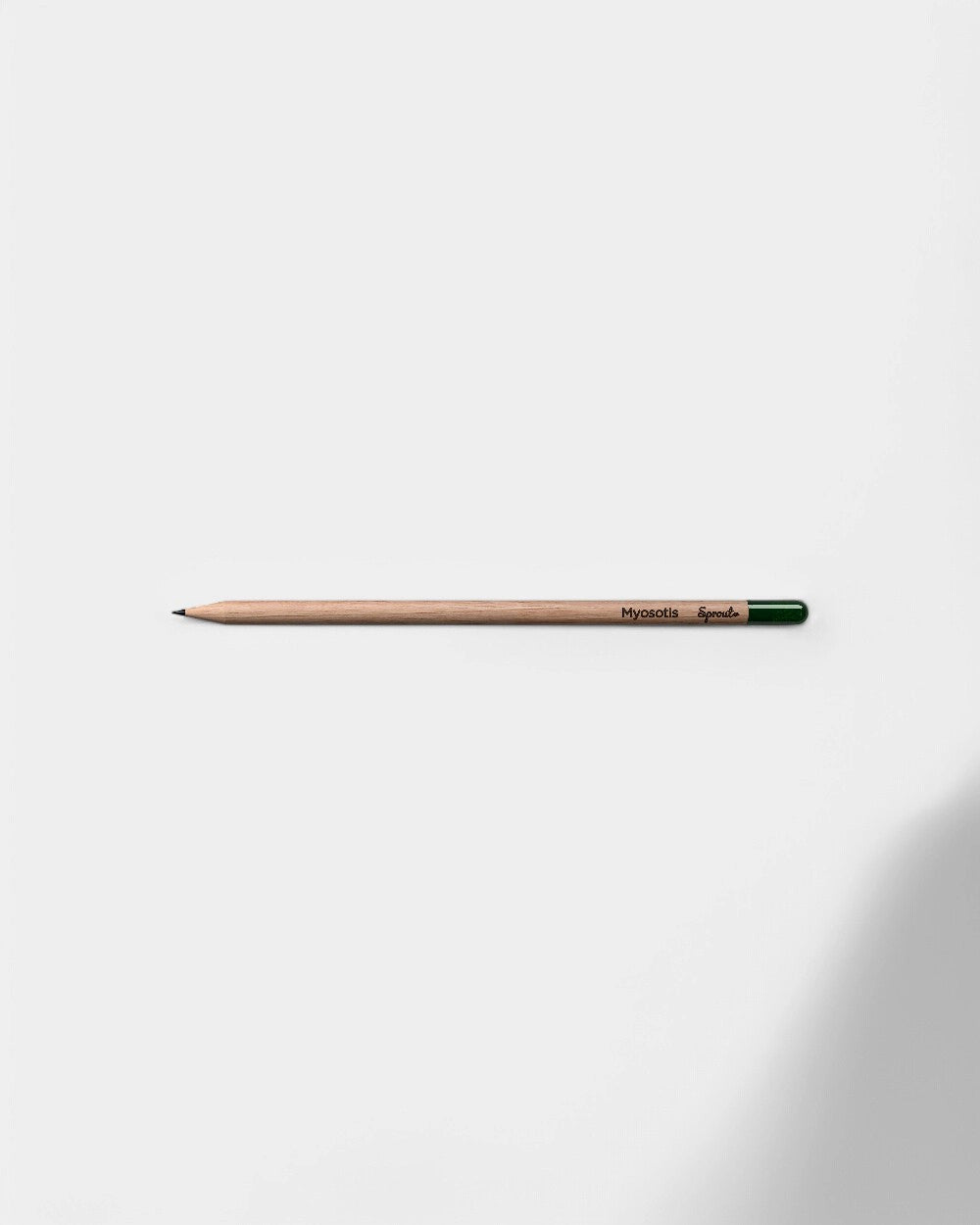 Personalisierbarer umweltfreundlicher Bleistift zum Einpflanzen