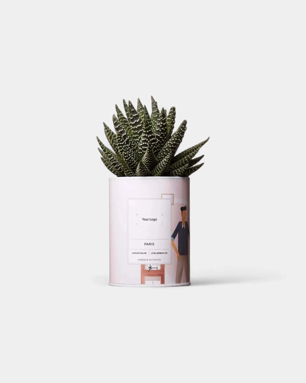 Zu 100% personalisierbarer Kaktus - Ay Cactus