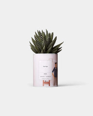 Zu 100% personalisierbarer Kaktus - Ay Cactus