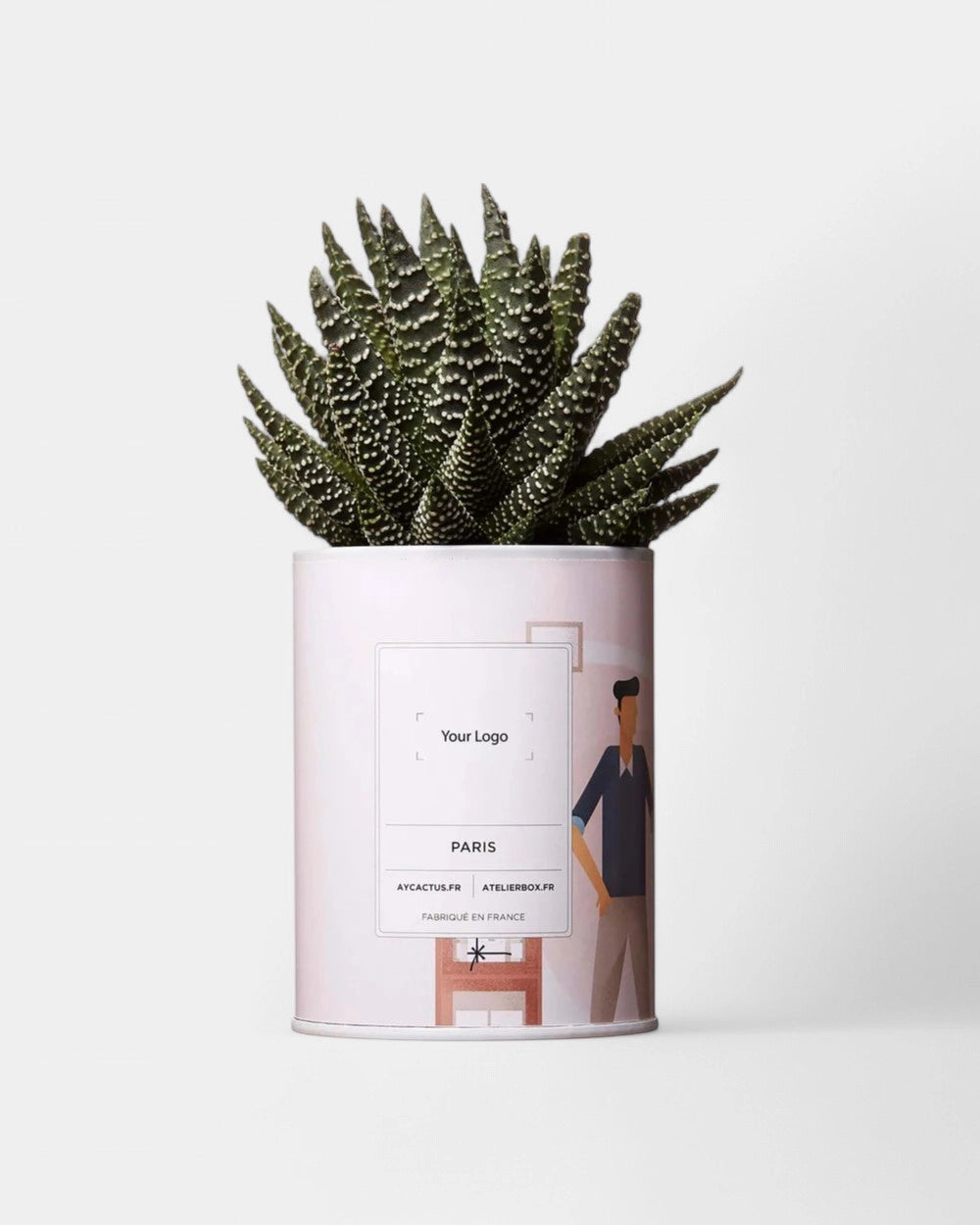 Zu 100% personalisierbarer Kaktus - Ay Cactus